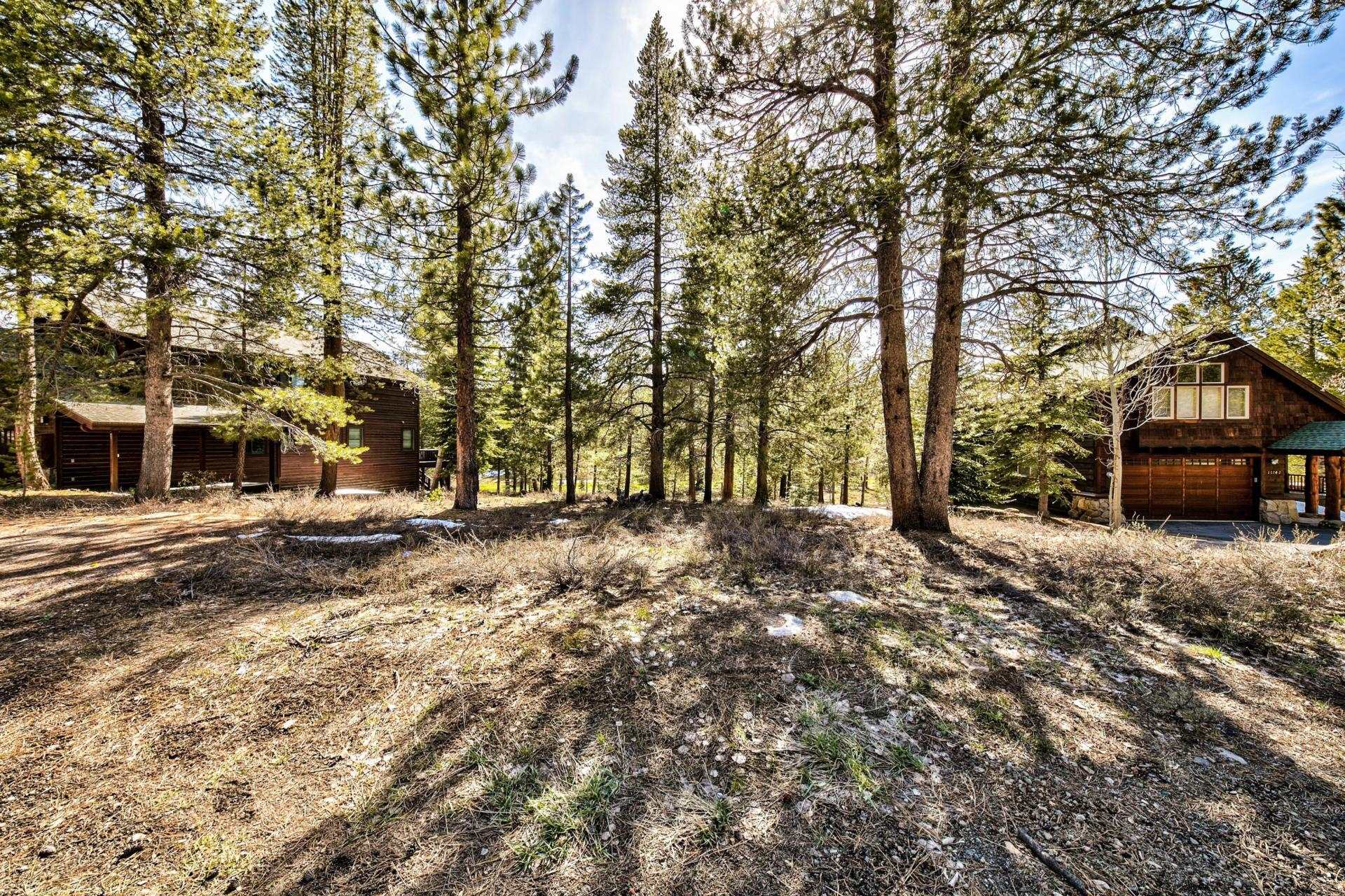 11224 Bennett Flat Road Truckee, CA 96161 - Photo 16 of 18 a view of house with outdoor space and trees