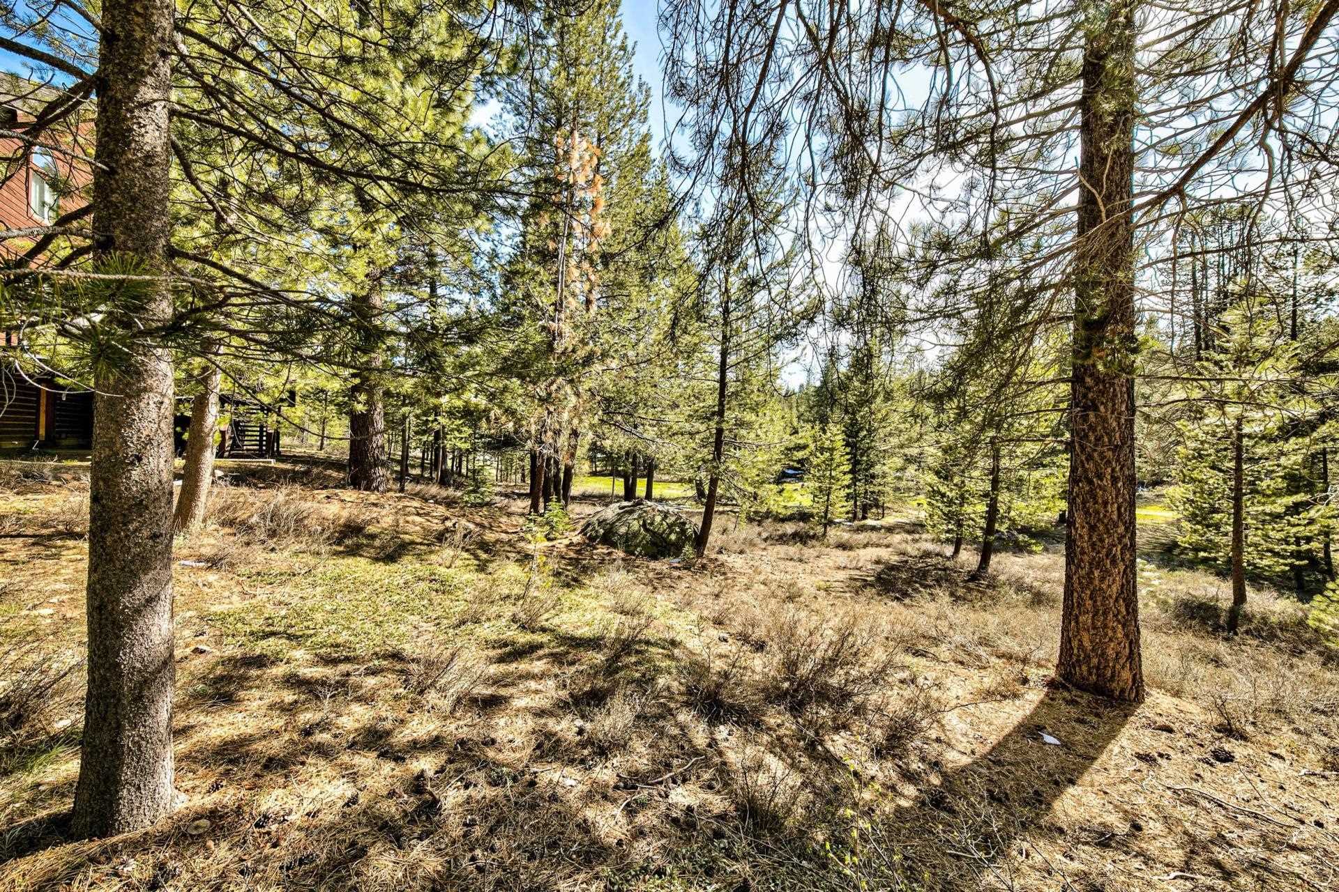 11224 Bennett Flat Road Truckee, CA 96161 - Photo 8 of 18 a view of a yard with large trees