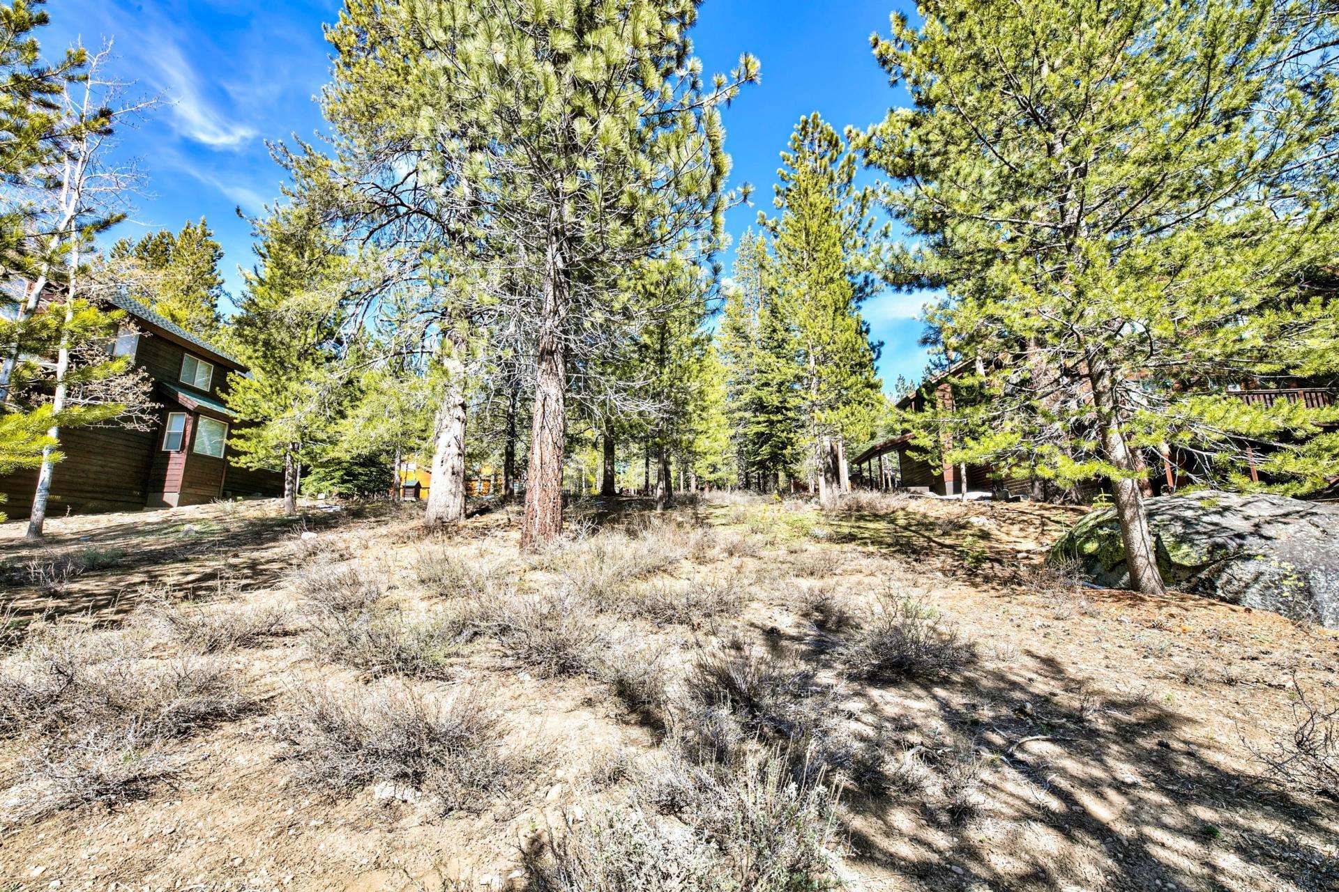 11224 Bennett Flat Road Truckee, CA 96161 - Photo 10 of 18 a view of outdoor space yard and tree