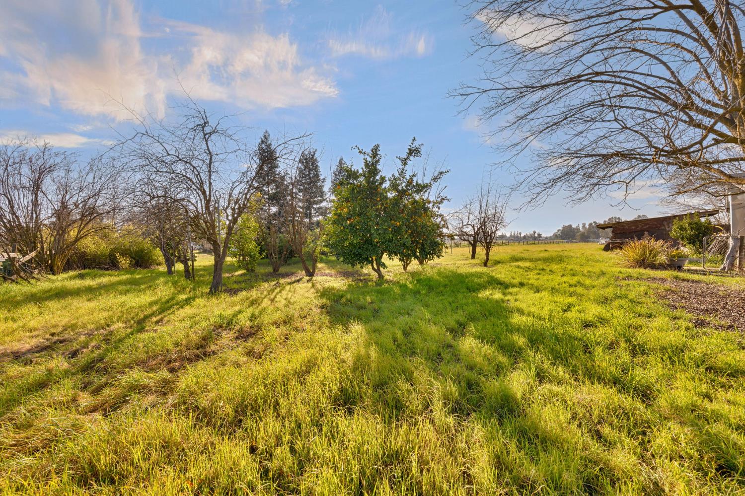 8208 Dierks Road Sacramento, CA 95830 - Photo 40 of 60