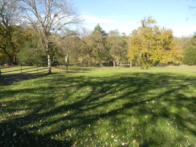 a big yard with lots of green space