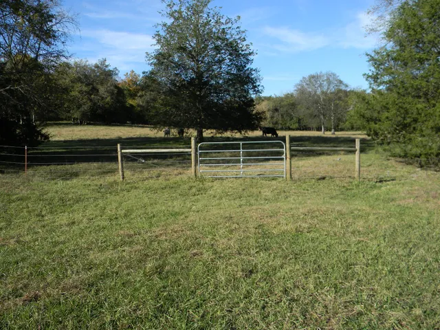 a view of a field with wooden fence