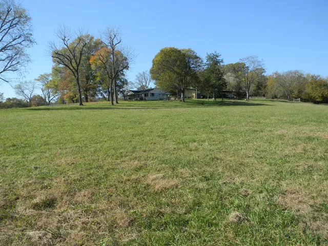 a view of a green field