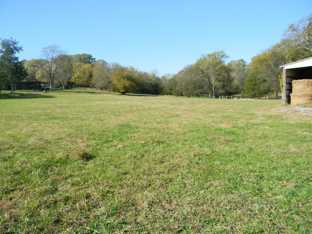a view of a field of grass and trees