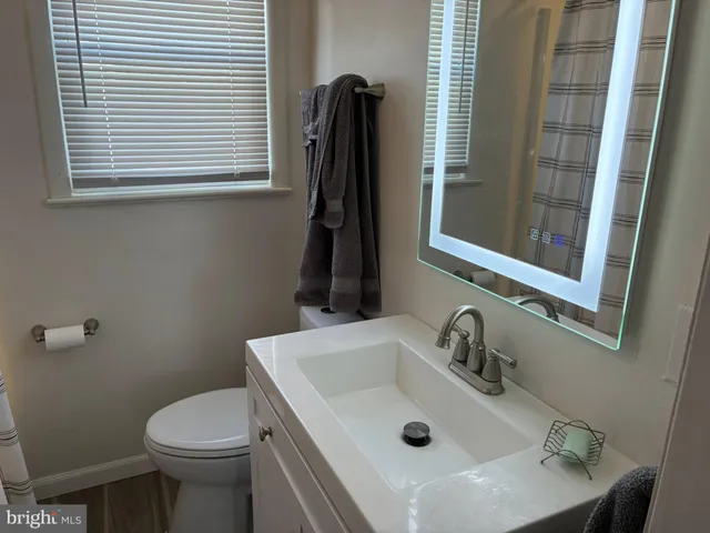 a bathroom with a sink and a toilet