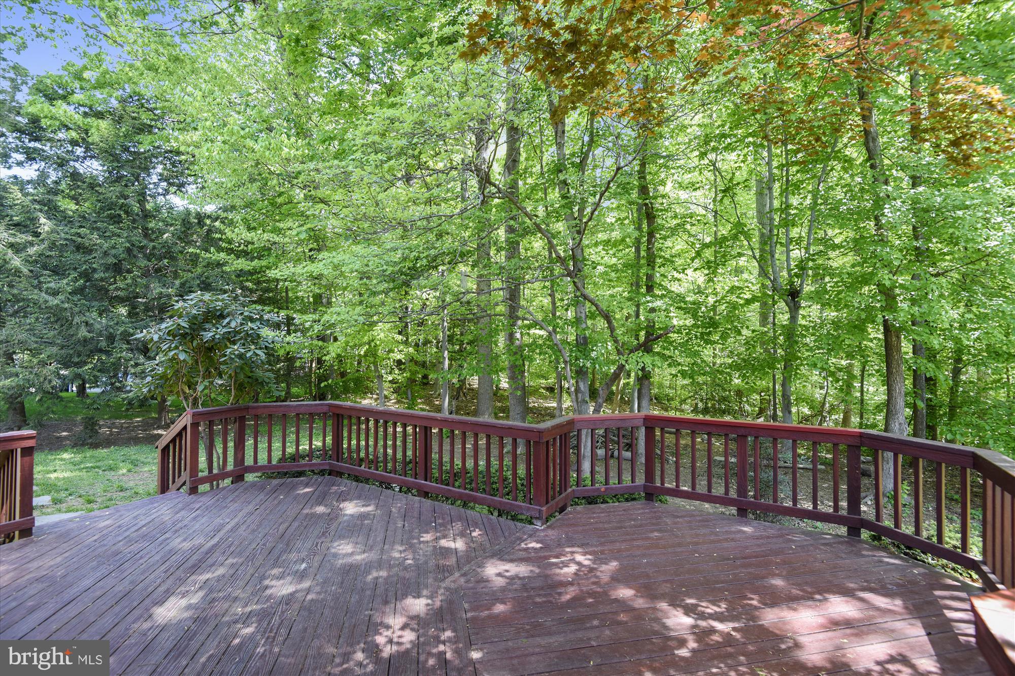 7403 Reservation Drive Springfield, VA 22153 - Photo 36 of 41 Private deck facing the mature trees