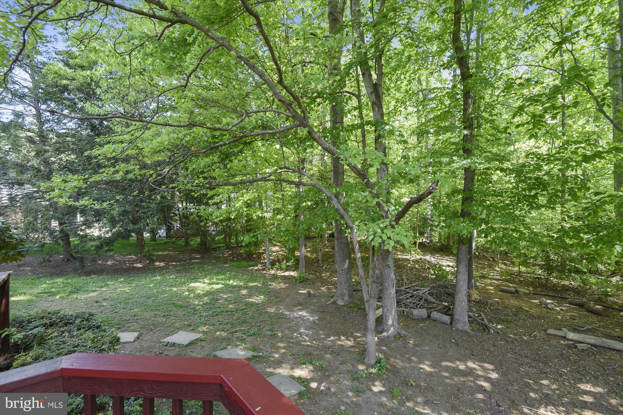 7403 Reservation Drive Springfield, VA 22153 - Photo 37 of 41 And parkland