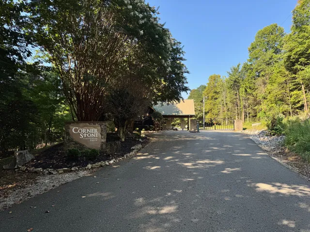 a view of road with large trees