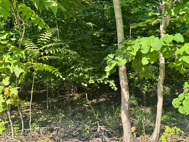 a backyard of a building with lots of plants