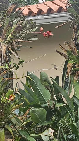 $929,000 | 6371 Hutchinson Road, Miami Lakes, FL 33014