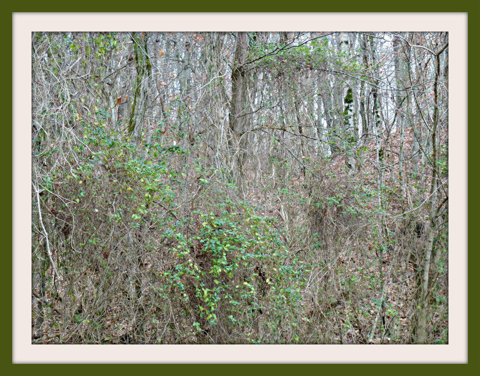 P1150229F
