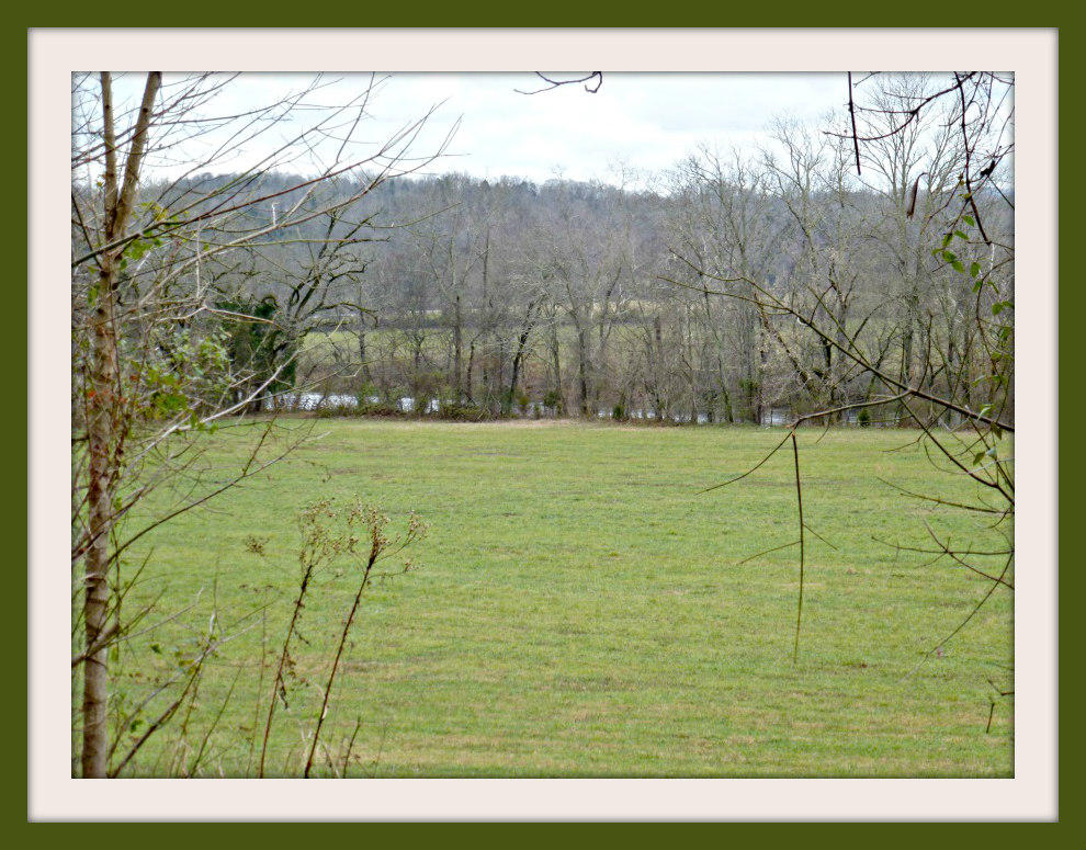 P1150228F