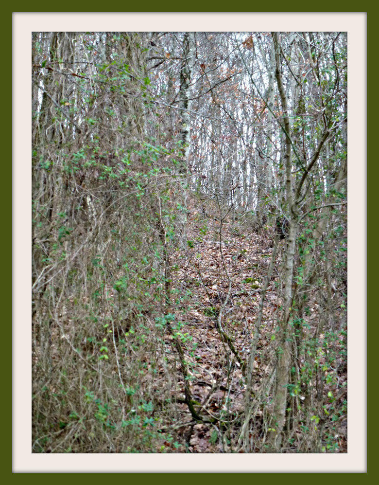 P1150231F