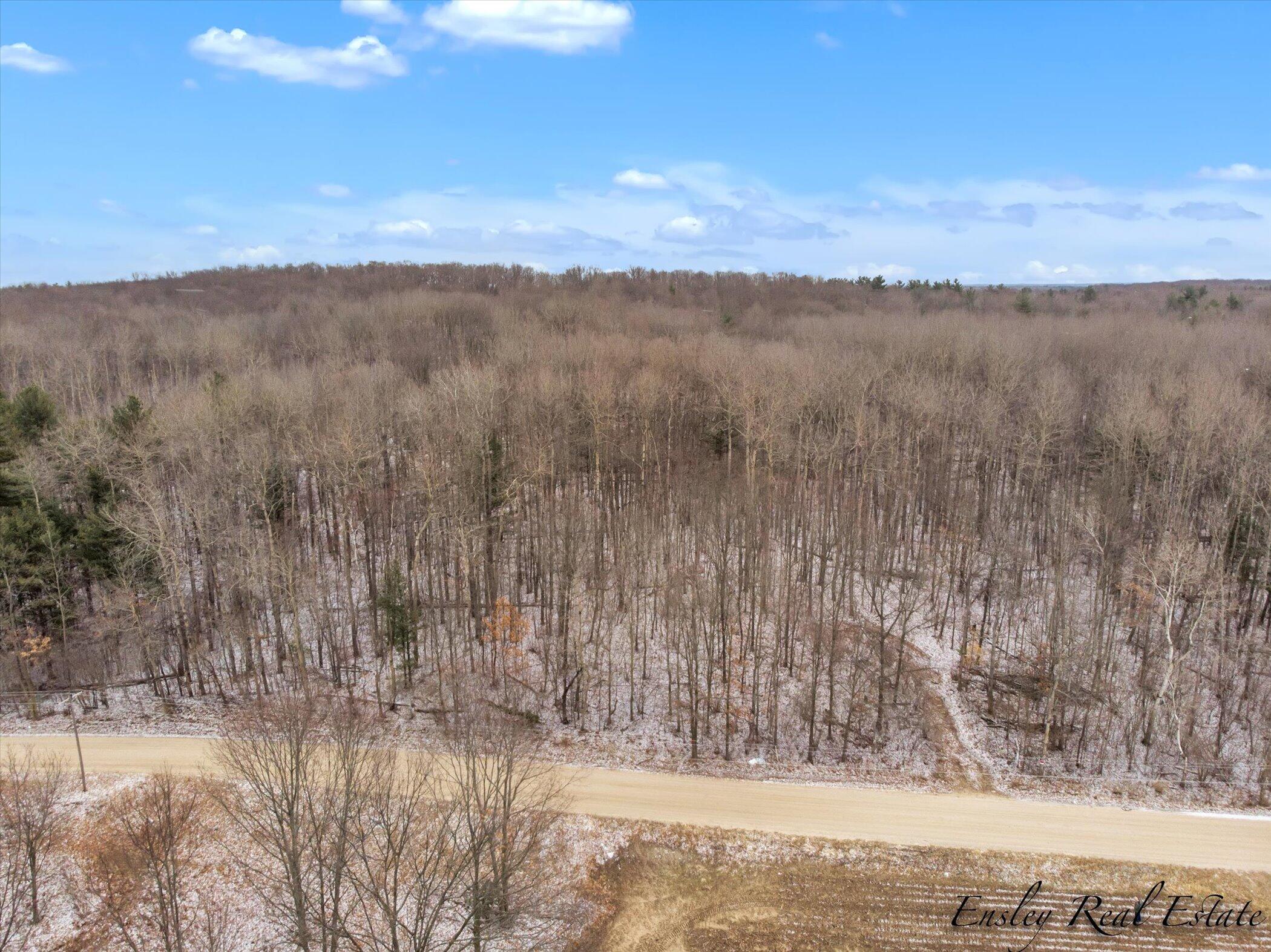 0 North Backus Road Lakeview, MI 48850 - Photo 3 of 7 3-0-N-Backus-Rd-WindowStill-Real-Estate-