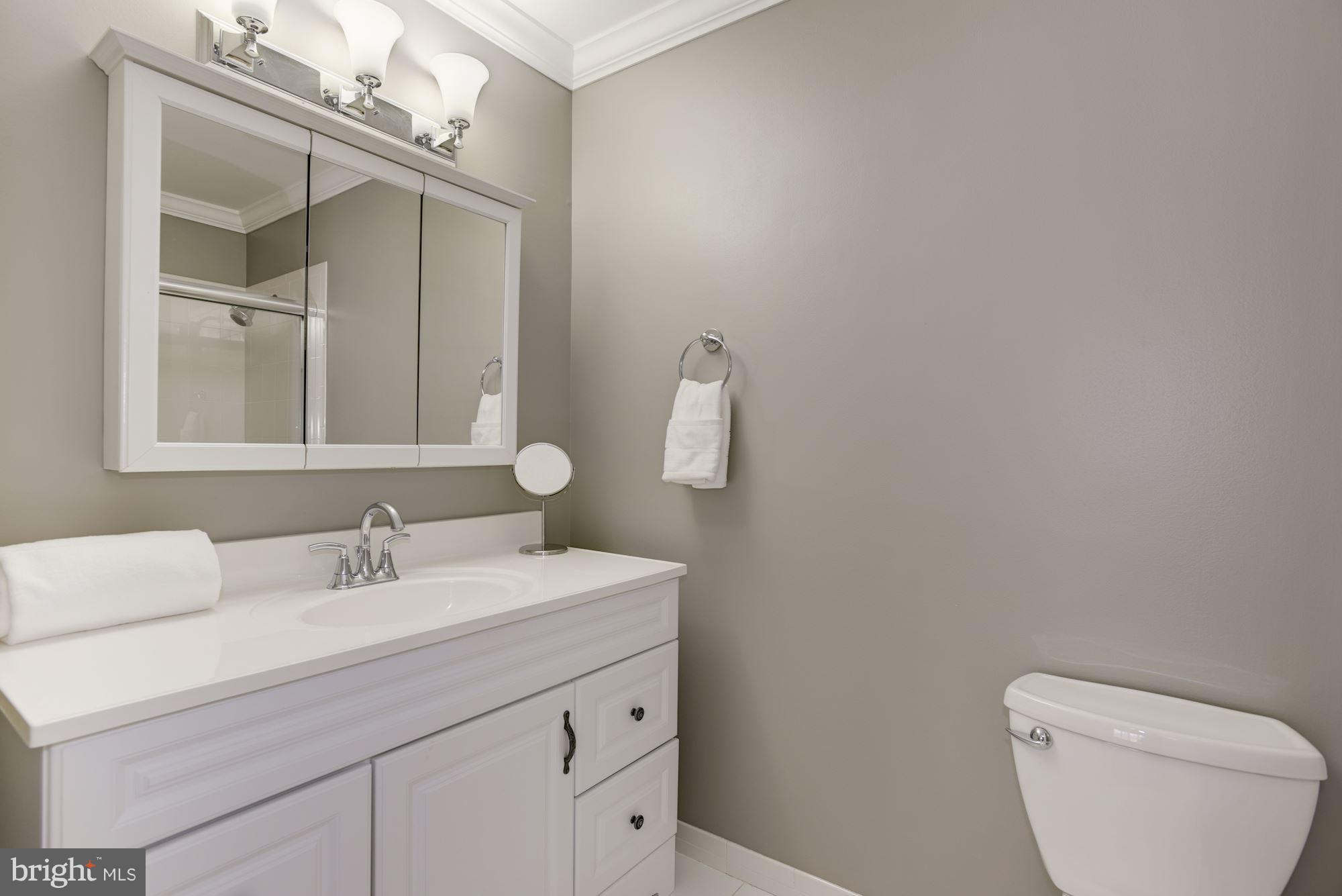 1511 Inlet Court Reston, VA 20190 - Photo 16 of 30 Bath (Master)