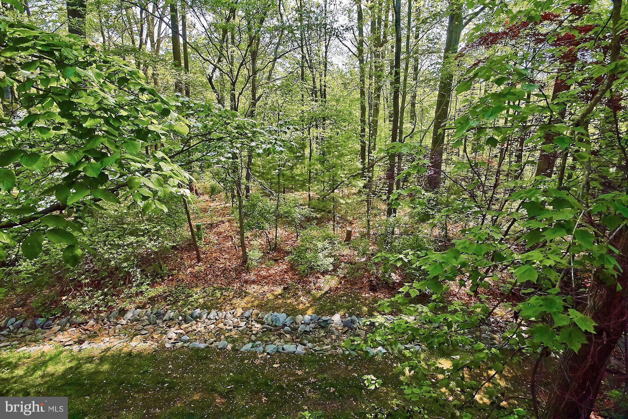 1511 Inlet Court Reston, VA 20190 - Photo 27 of 30 View with leaves out in full glory