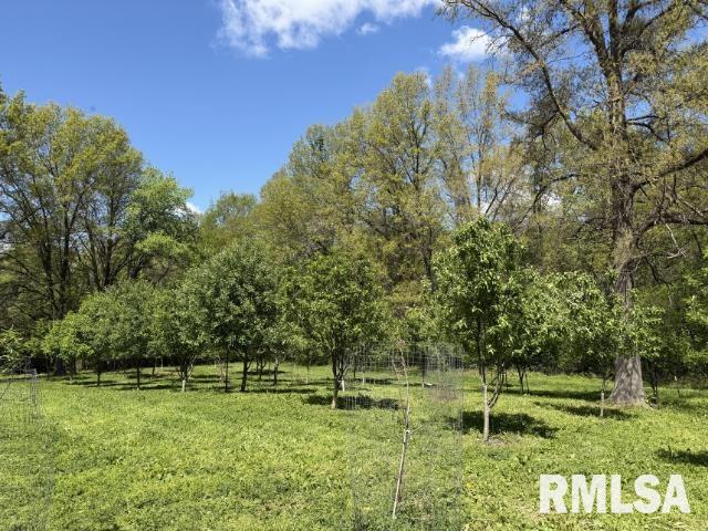 4231 Stone Road Springfield, IL 62707 - Photo 75 of 85