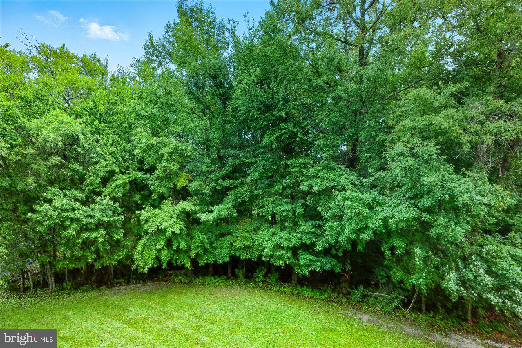 30413 Cedar Neck Road, Unit 206 Ocean View, DE 19970 - Photo 51 of 65 Rear of home