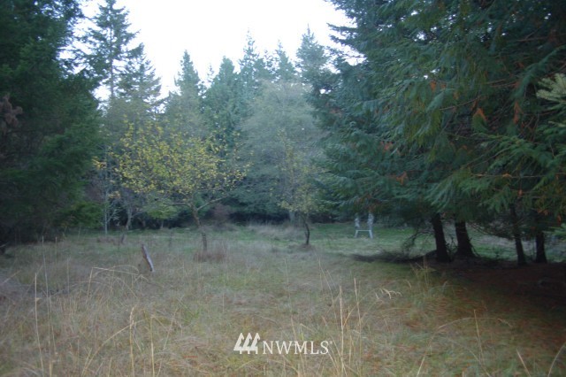 880 Swan Road Orcas Island, WA 98245 - Photo 17 of 18 Gallery Image 17
