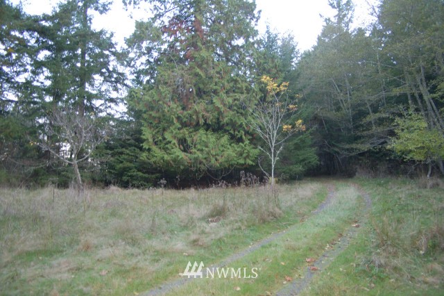 880 Swan Road Orcas Island, WA 98245 - Photo 18 of 18 Gallery Image 18