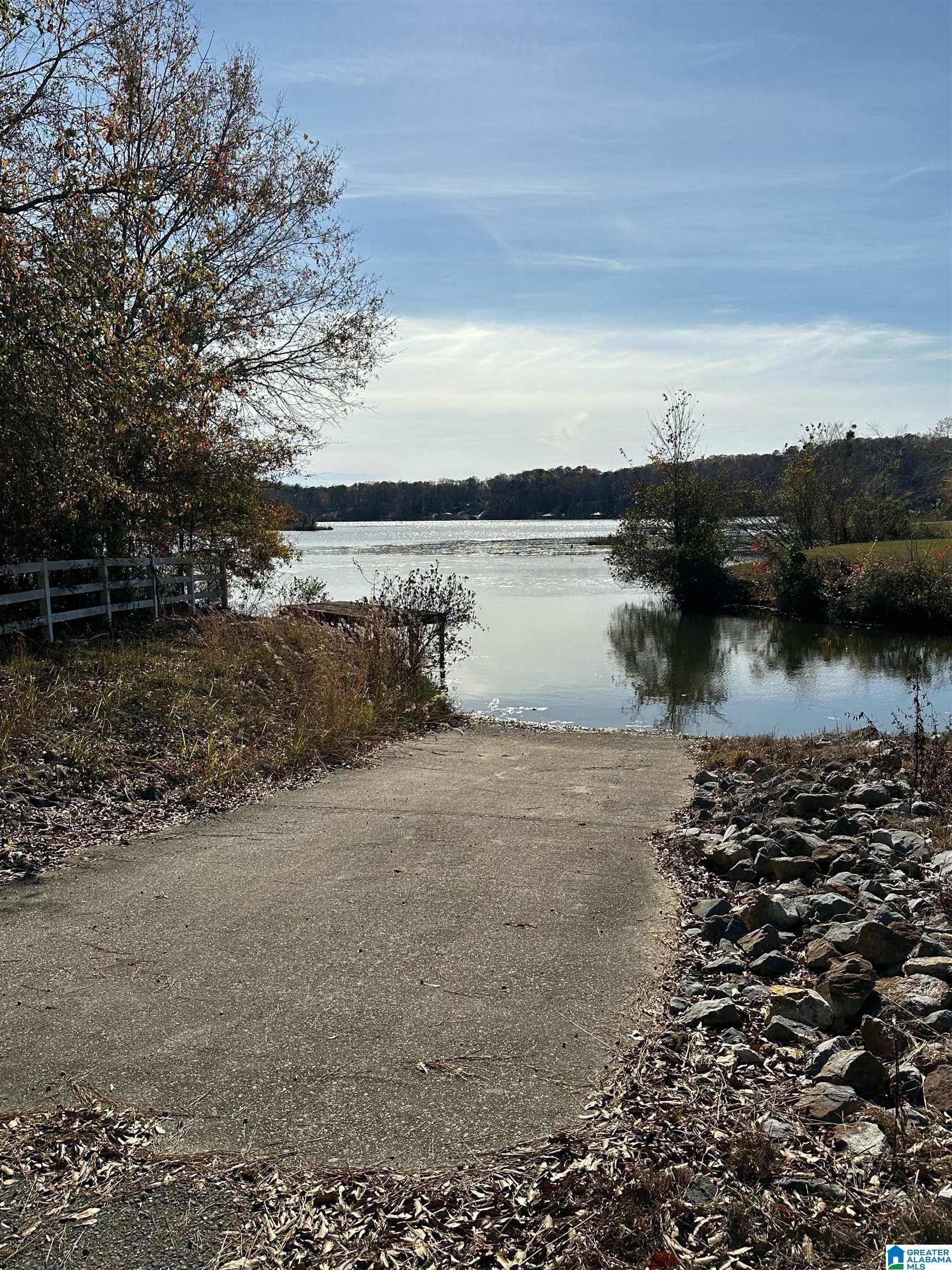 Lot 5 Carleton Point, Unit 5 Wilsonville, AL 35186 - Photo 3 of 12