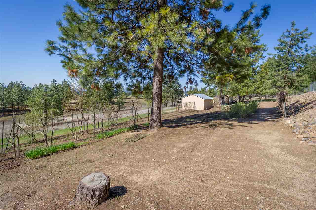 6312 East Rae Lane Colbert, WA 99005 - Photo 20 of 20