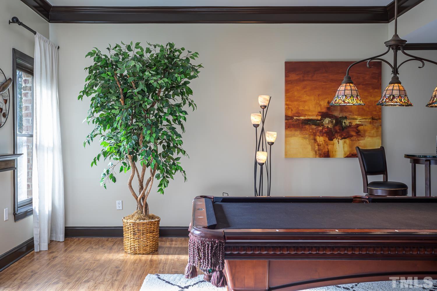 1616 Morning Mountain Road Raleigh, NC 27614 - Photo 56 of 86 a living room with furniture and a potted plant