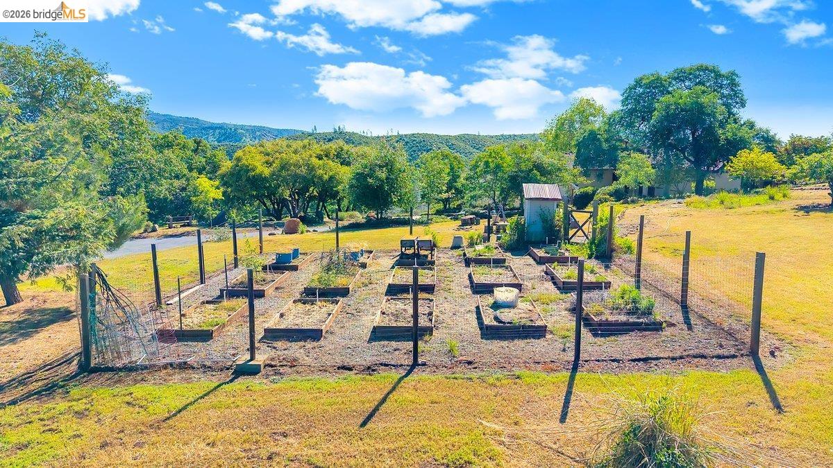 13700 Clements Road Groveland, CA 95321 - Photo 64 of 93 Expansive garden area featuring multiple raised beds and a utility shed