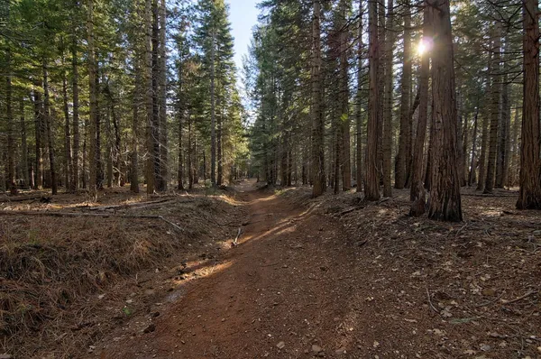 a view of outdoor space with trees