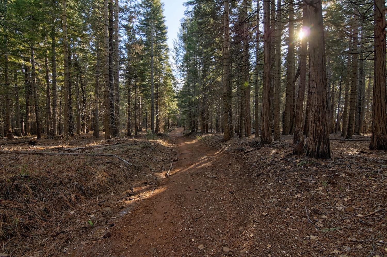 a view of outdoor space with trees