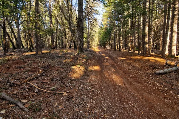 a view of road with trees