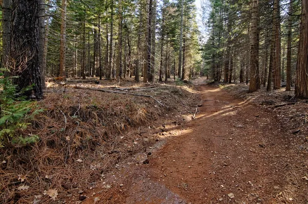 a view of outdoor space with trees