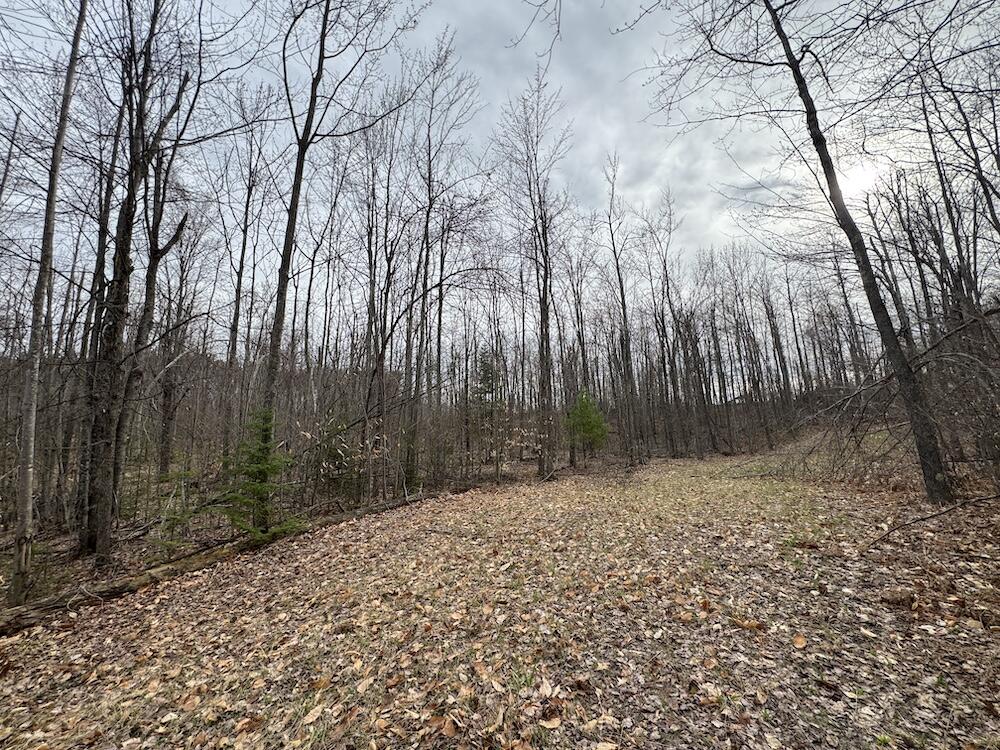 1734 North Galbraith Road Mio, MI 48647 - Photo 67 of 120 IMG_1906