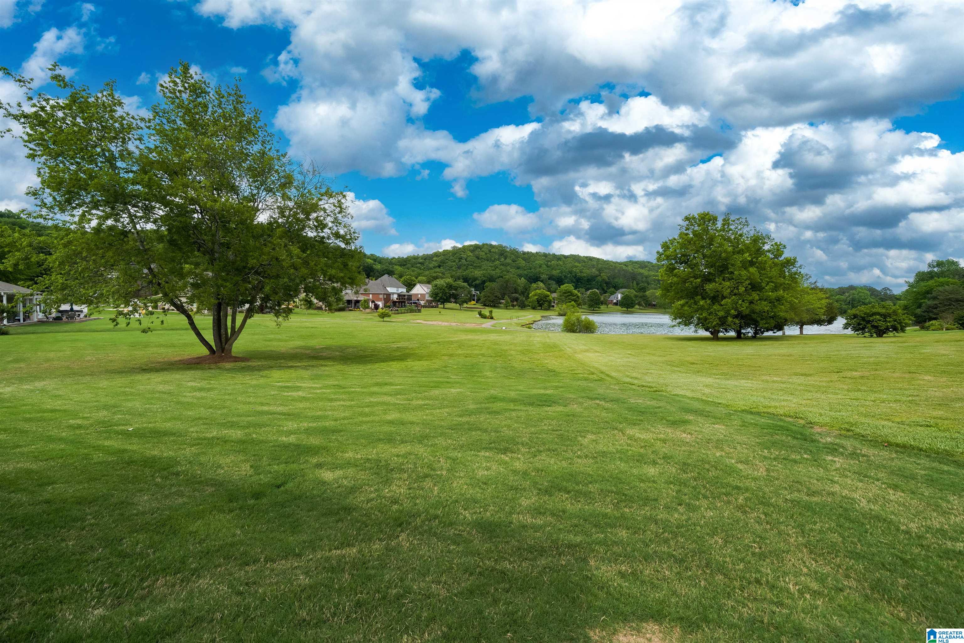 598 MacDonald Lk Road Springville, AL 35146 - Photo 38 of 43