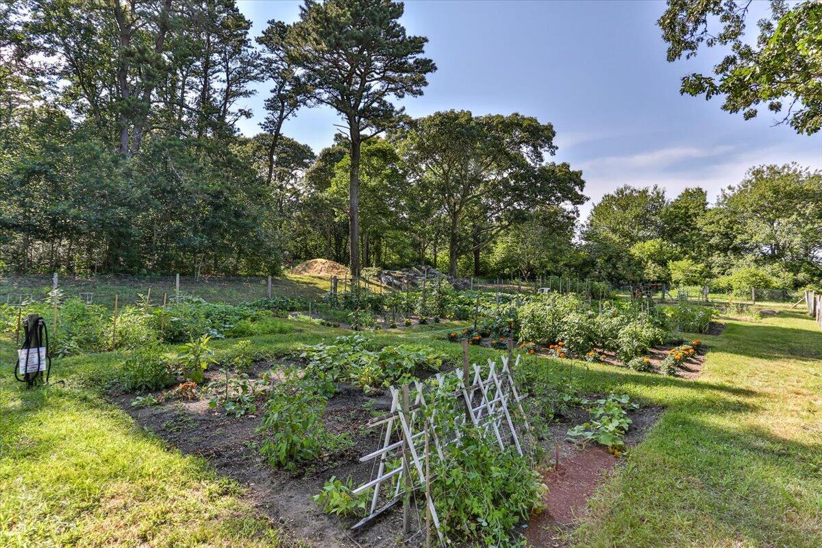 12 Dover Road Yarmouth Port, MA 02675 - Photo 31 of 34 50-12Dov-150