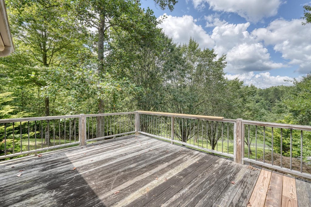 1048 Hawks Claw Road Morganton, GA 30560 - Photo 11 of 58