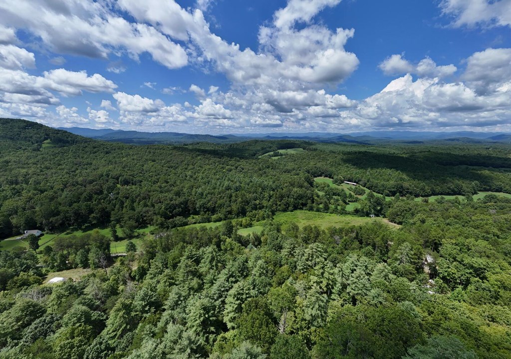 1048 Hawks Claw Road Morganton, GA 30560 - Photo 55 of 58