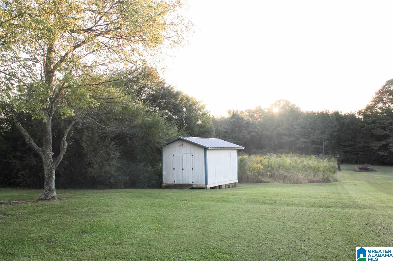 94 Forgotten Road Piedmont, AL 36272 - Photo 21 of 21
