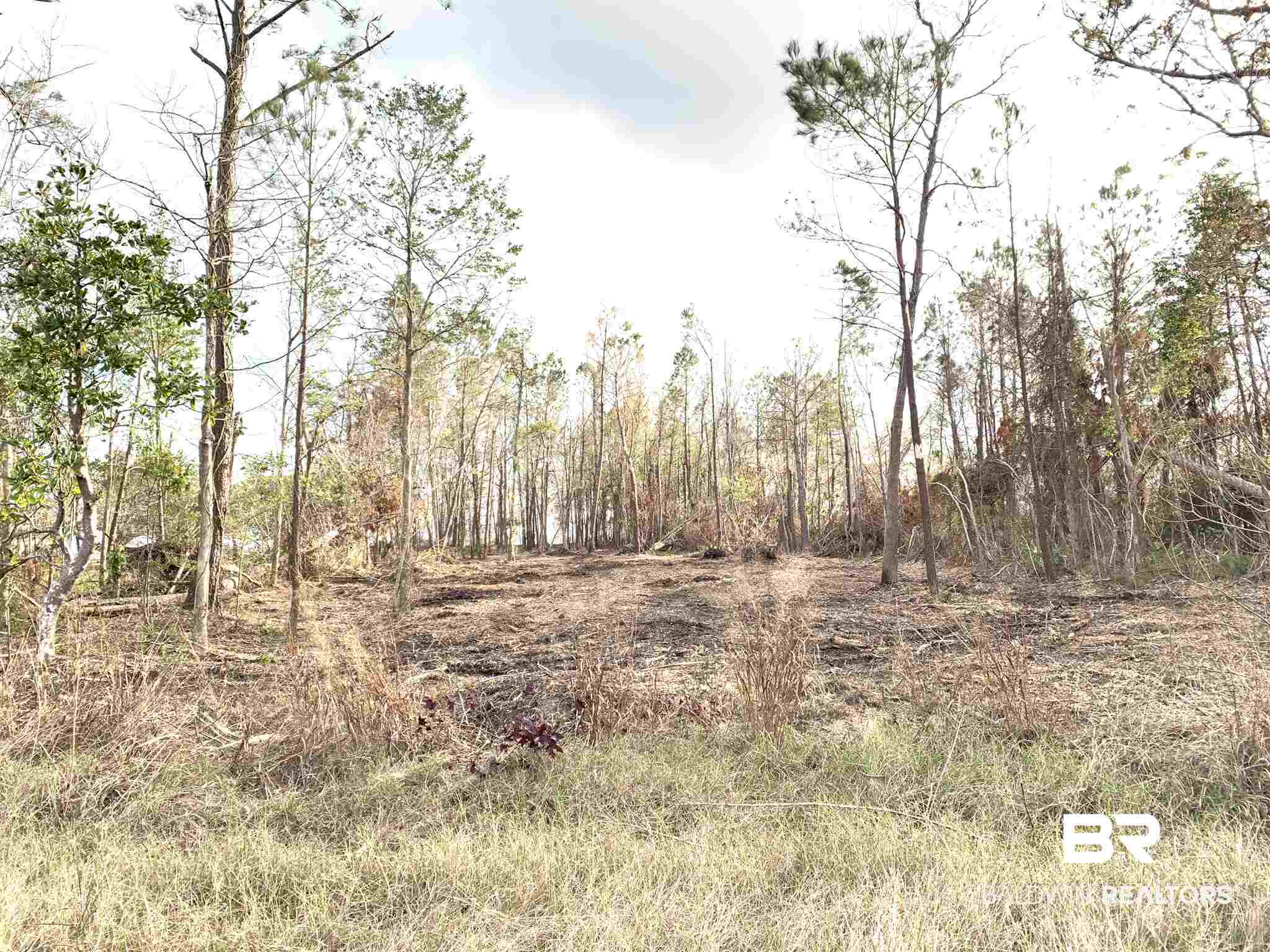 10501 County Road 1 Fairhope, AL 36532 - Photo 32 of 33