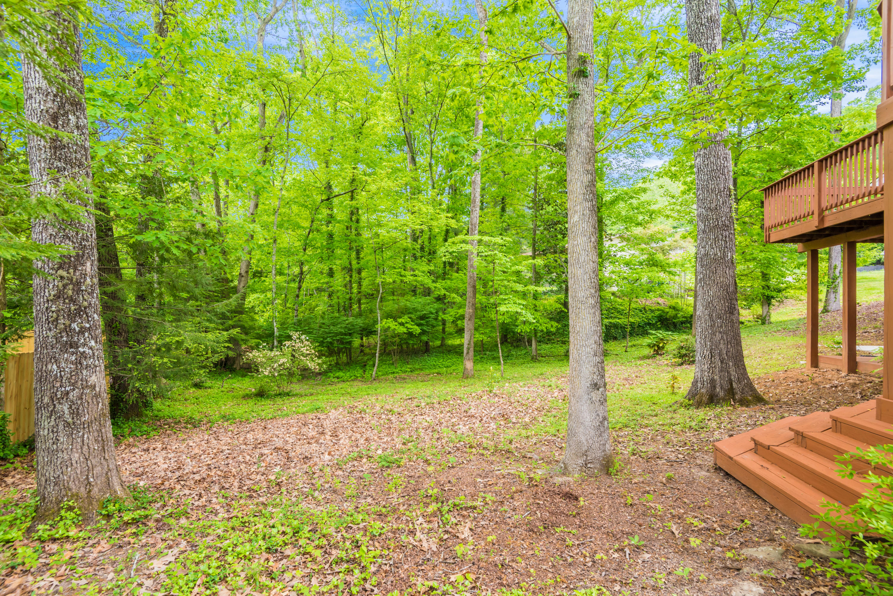 111 Balboa Circle Oak Ridge, TN 37830 - Photo 39 of 40 111BalboaCir2-12