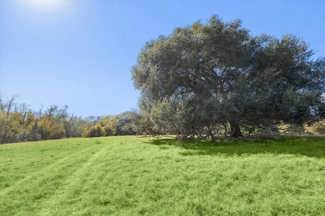 a view of outdoor space with trees all around
