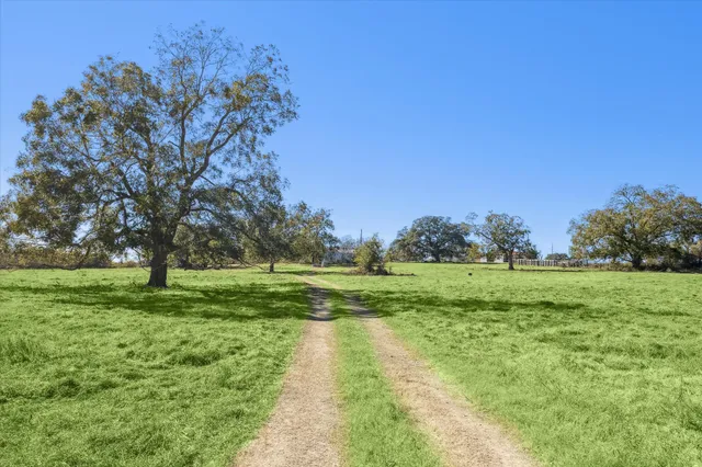 a view of a garden with an trees