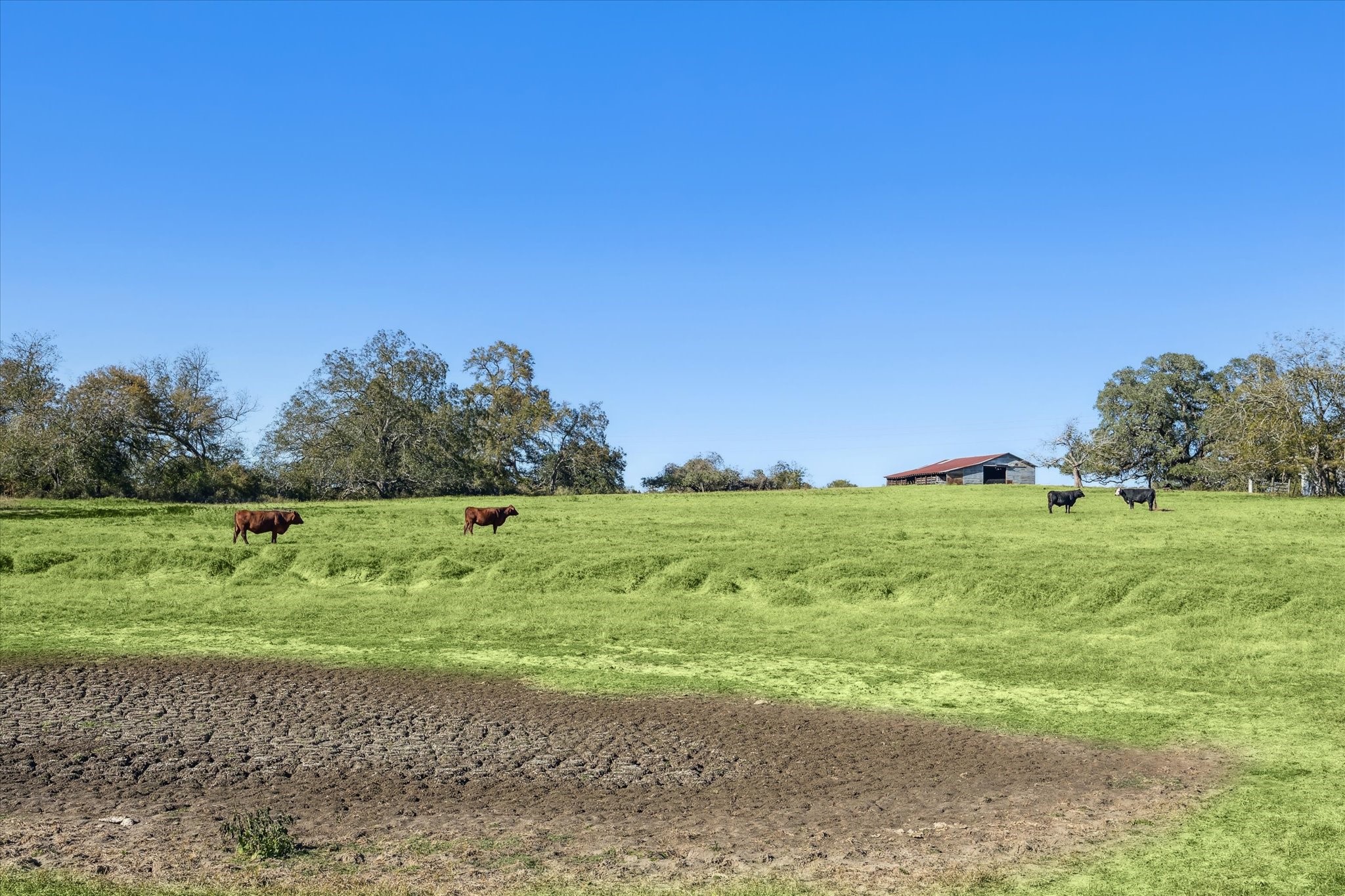 6230 Kovar Road Fayetteville, TX 78940 - Photo 5 of 10 a view of an outdoor space and yard