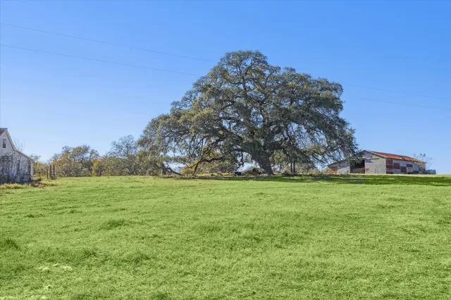 a big yard with lots of green space and plants