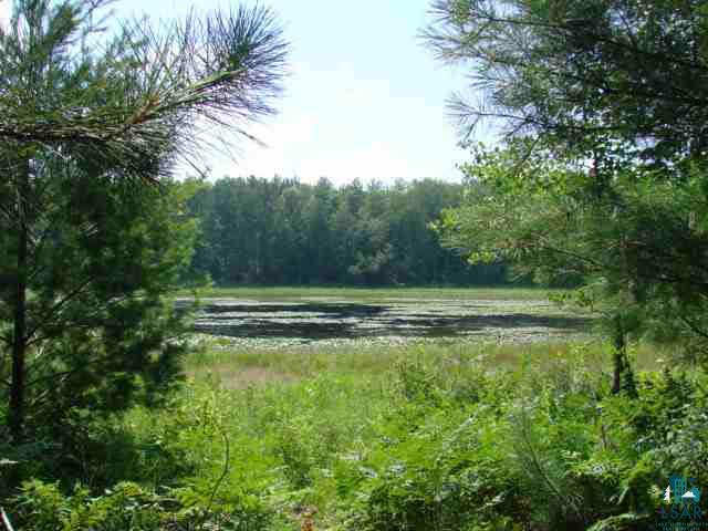 7457 County Road South Lake Nebagamon, WI 54849 - Photo 2 of 9