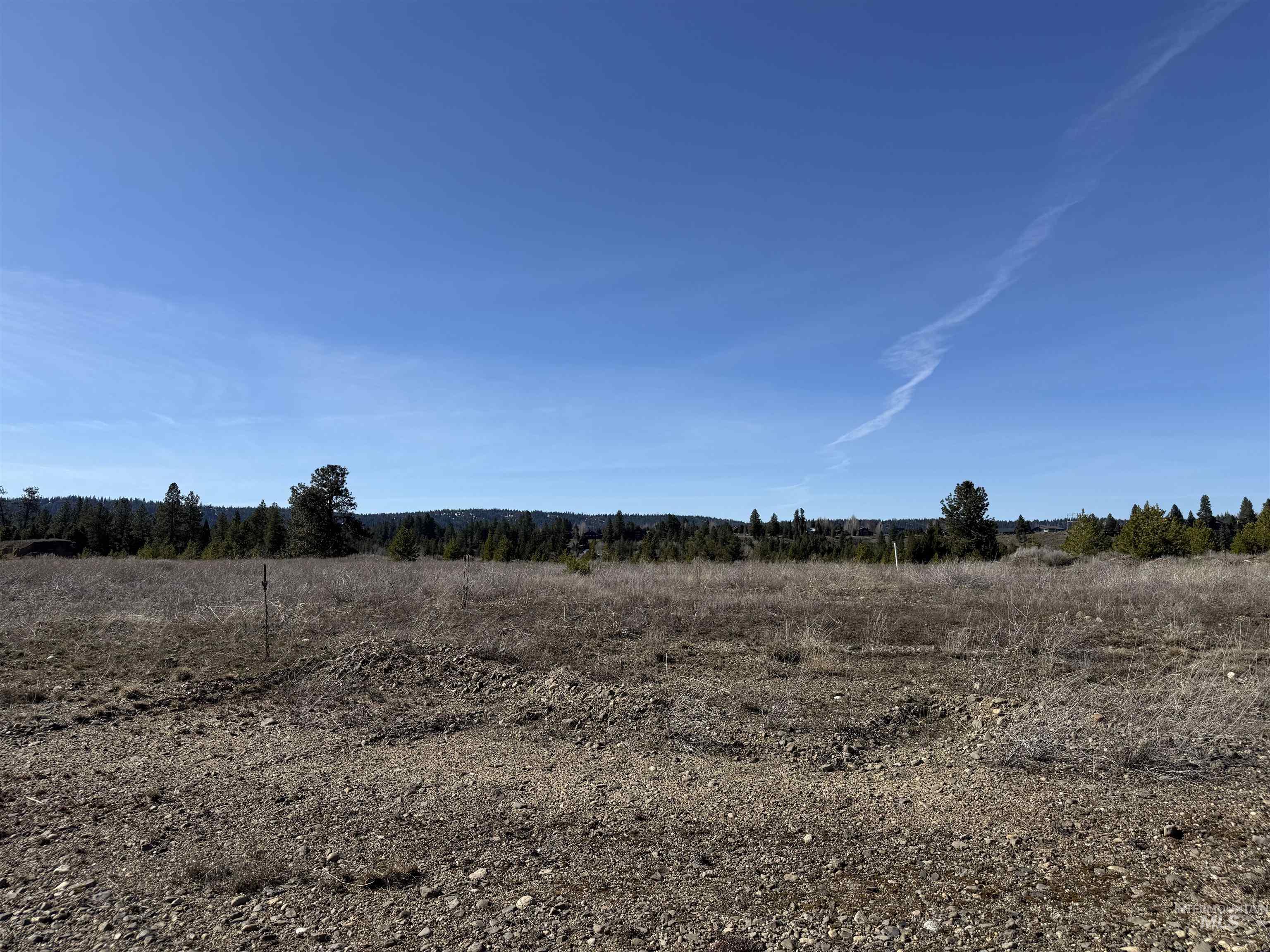 Tbd Lot 17 Tbd Loop McCall, ID 83638 - Photo 11 of 17 View from the road, looking to the west and Payette River.