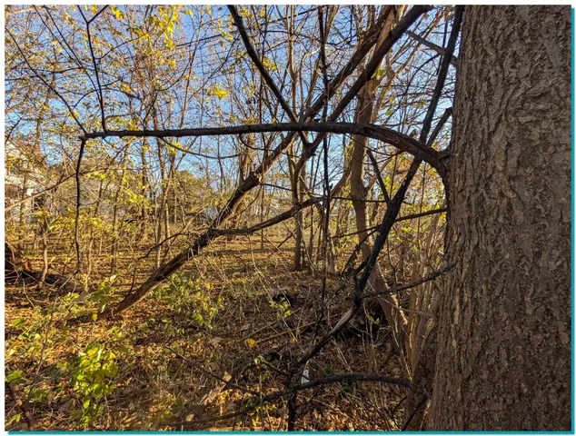 $11,500 | 2958 North 10th Lane, Unit 2962 2966, Milwaukee, WI 53206