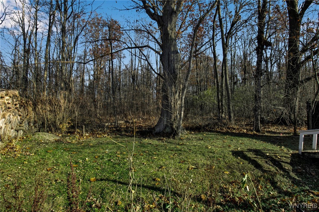 5739 Dover Road Hamburg, NY 14085 - Photo 30 of 34