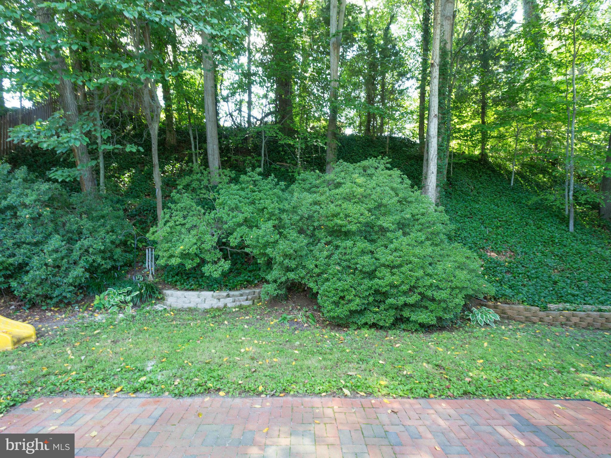 6904 Gillings Road Springfield, VA 22152 - Photo 25 of 29 Exterior (Rear)