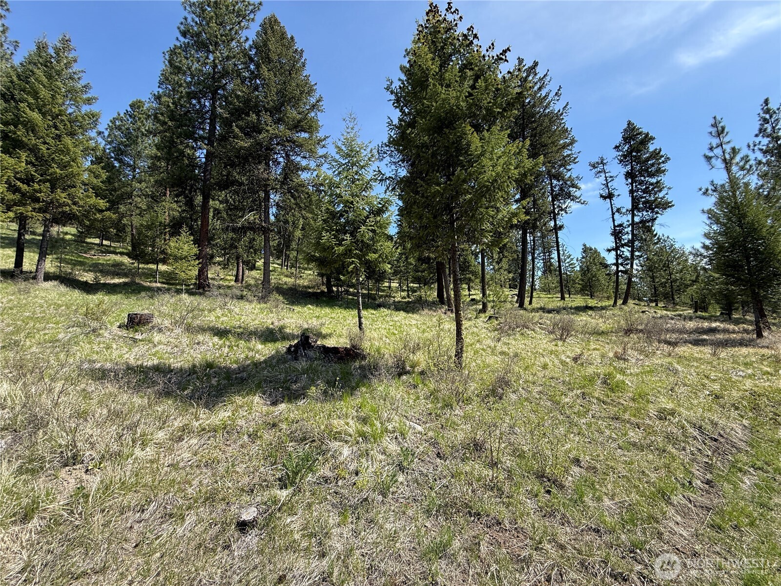 5 Starvation Ridge Road Republic, WA 99166 - Photo 14 of 17